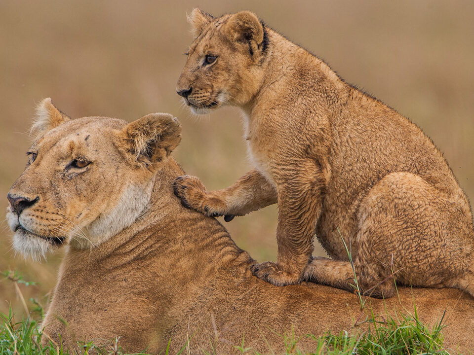 Short Trips in Uganda