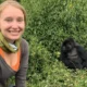 Gorilla-Trekking-Safaris