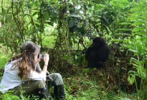 clients-tracking-gorilla-tracking