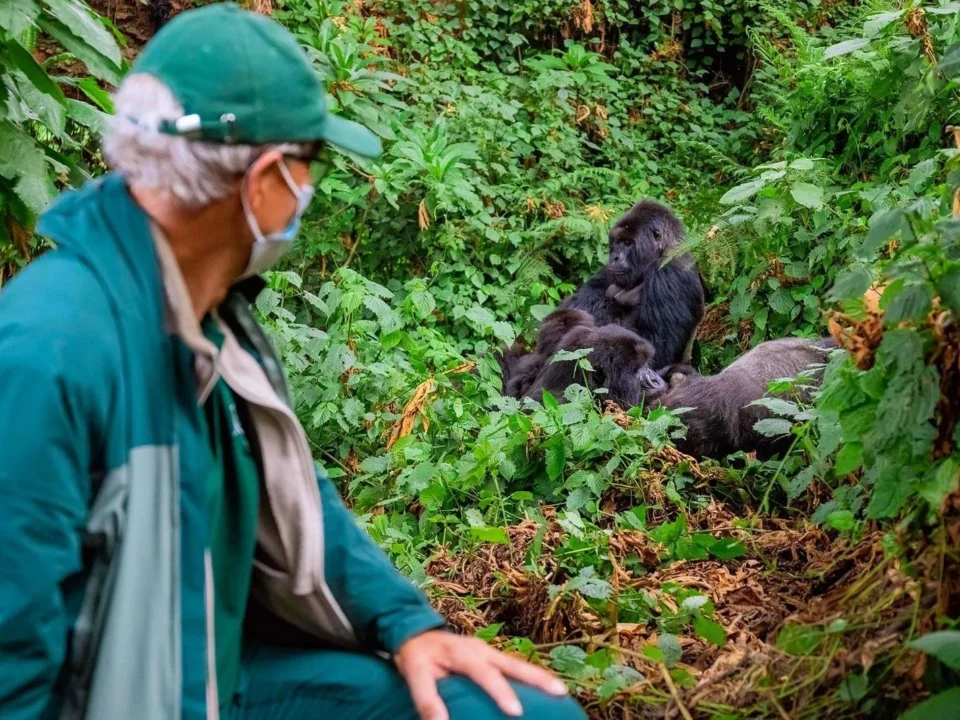Uganda-Tourist-Attractions