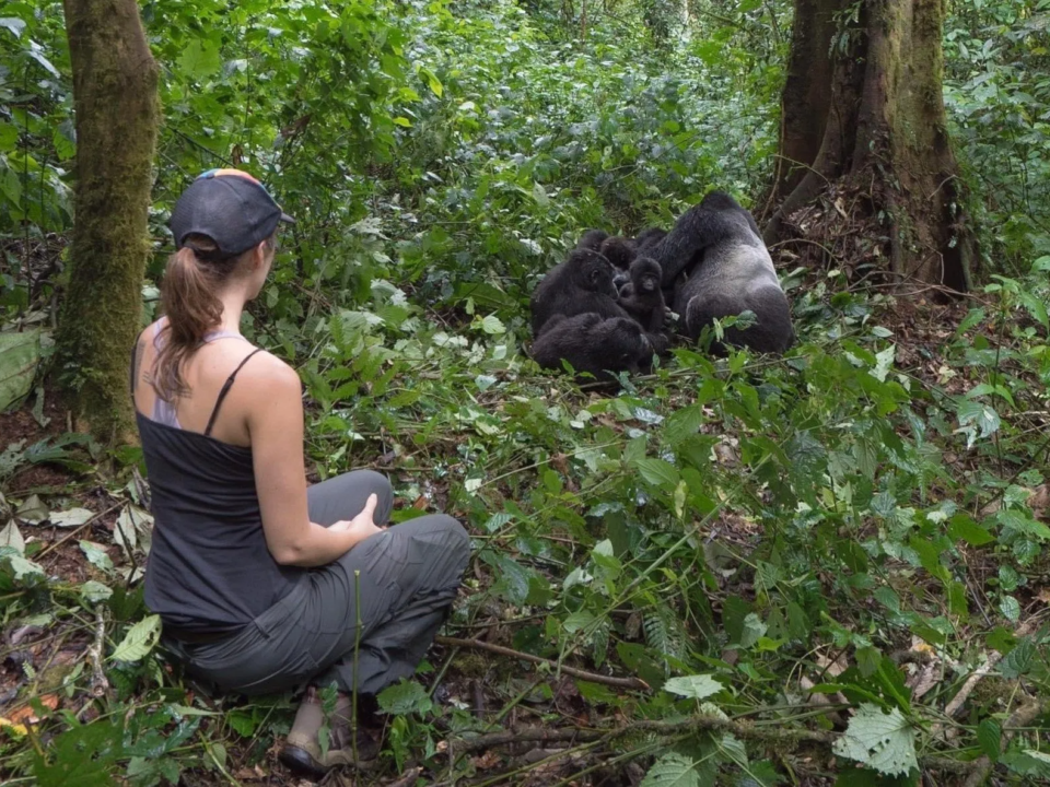 Gorilla-Trekking-Experience