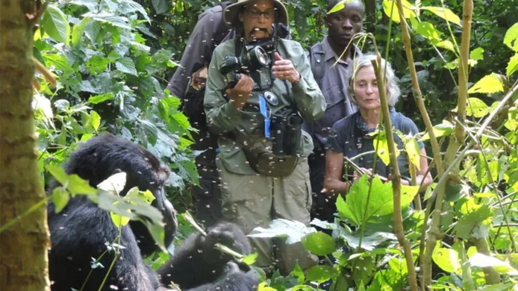 Uganda-Rwanda-Tracking