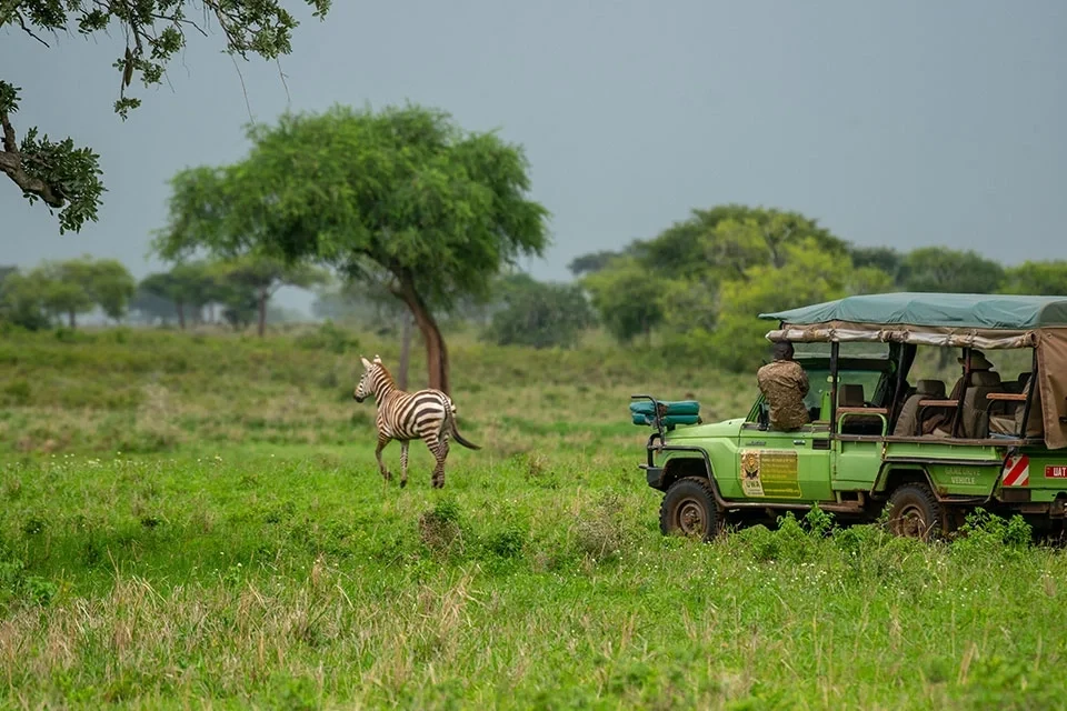 tourist-activities-to-experience-in-uganda-on-safari