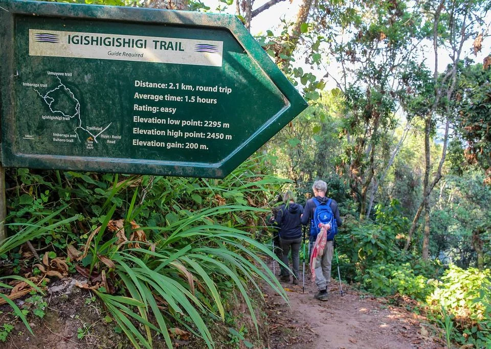 igishigishigi-trail