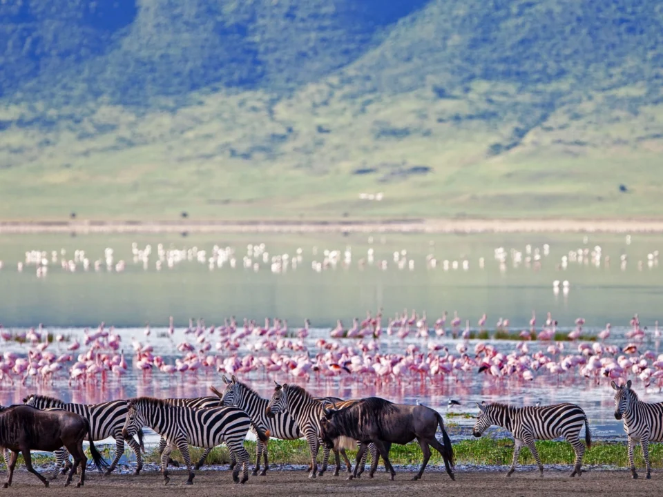 the-ngorongoro-crater