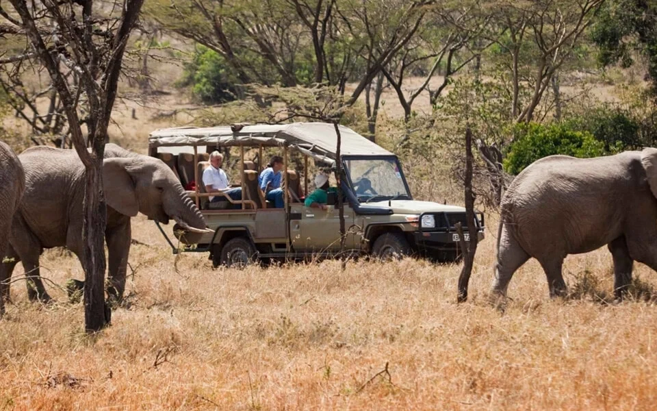 10-days-kenya-bush-and-beach-safari