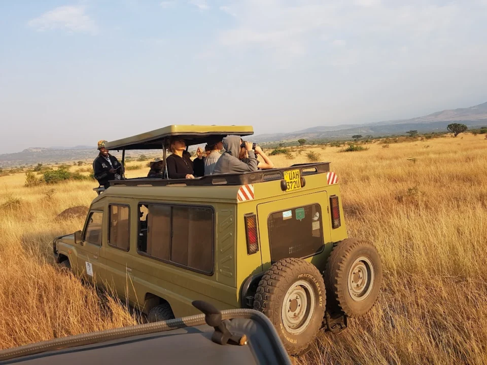8-days-uganda-wildlife-and-primate-safari