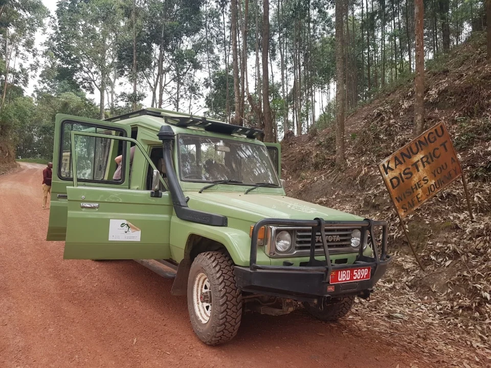 low-and-peak-season-on-uganda-safari