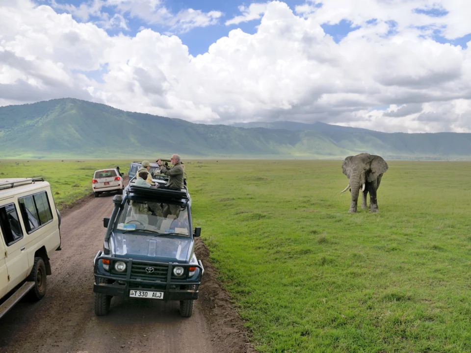 tourist-attractions-in-tanzania