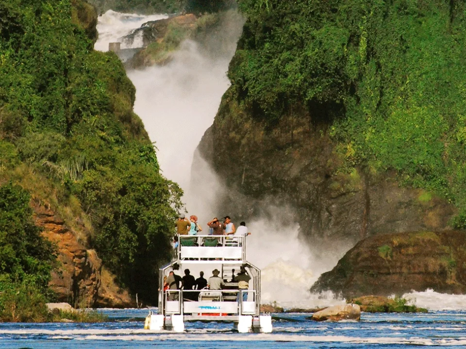 murchison-falls-boat-cruise