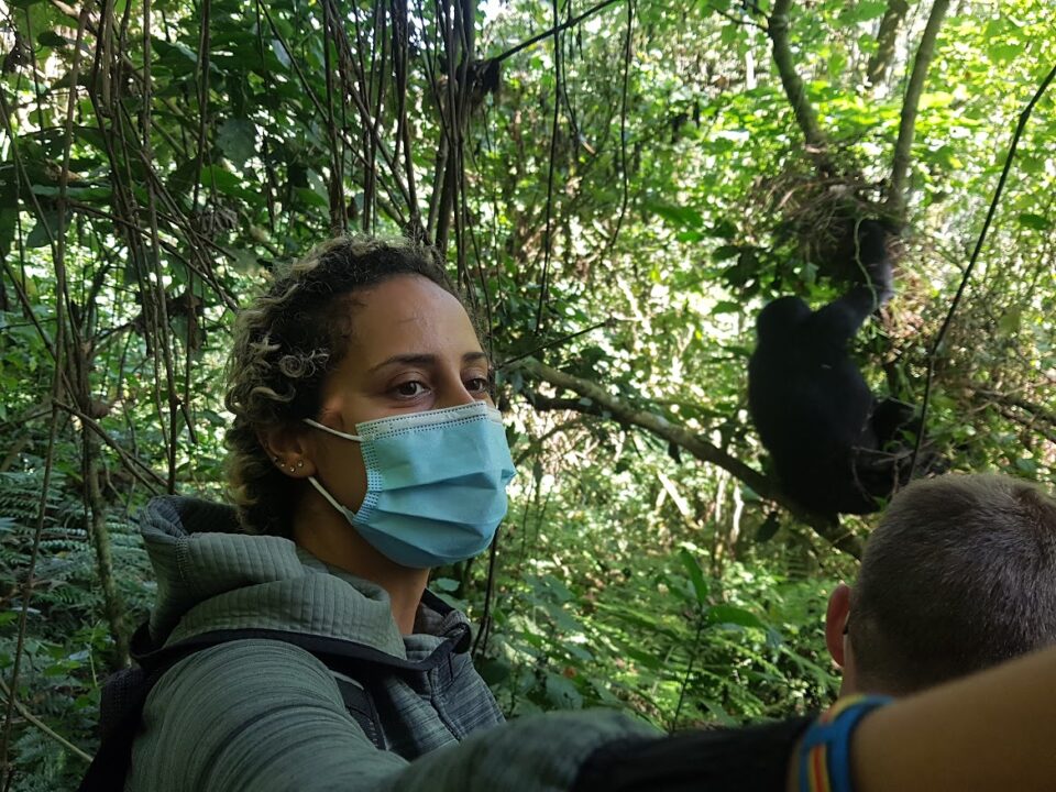 what-is-gorilla-trekking
