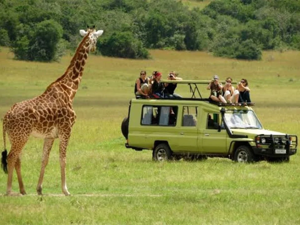two-day-serengeti-safari-in-tanzania-departing-from-arusha-or-mwanza
