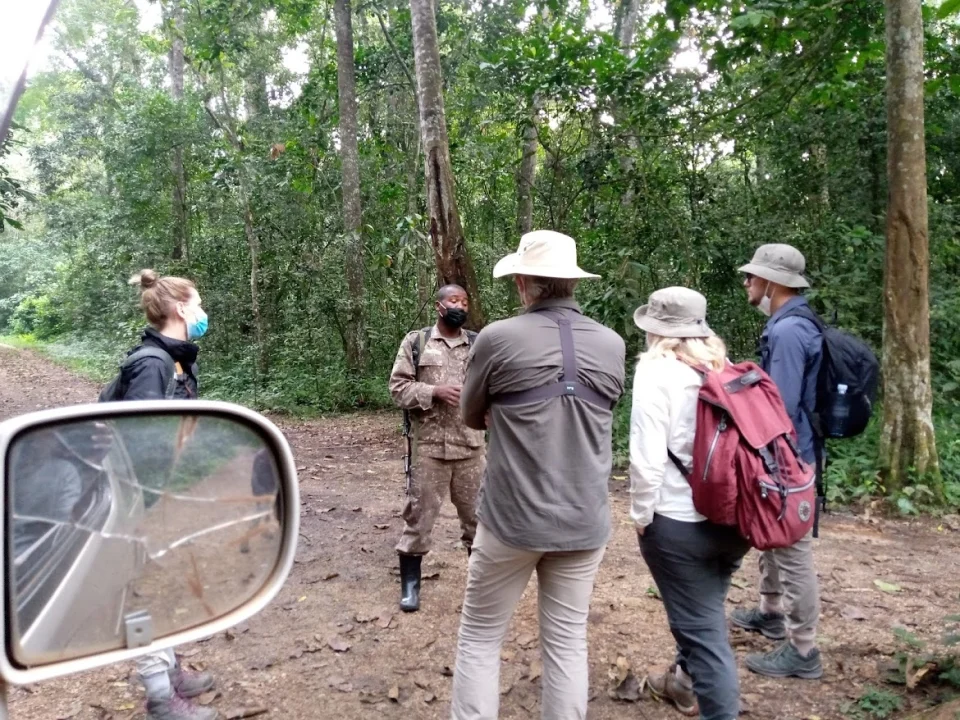 combining-gorilla-trekking-with-kampala-city-tour