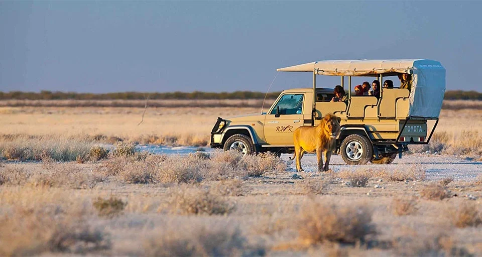 etosha-national-park