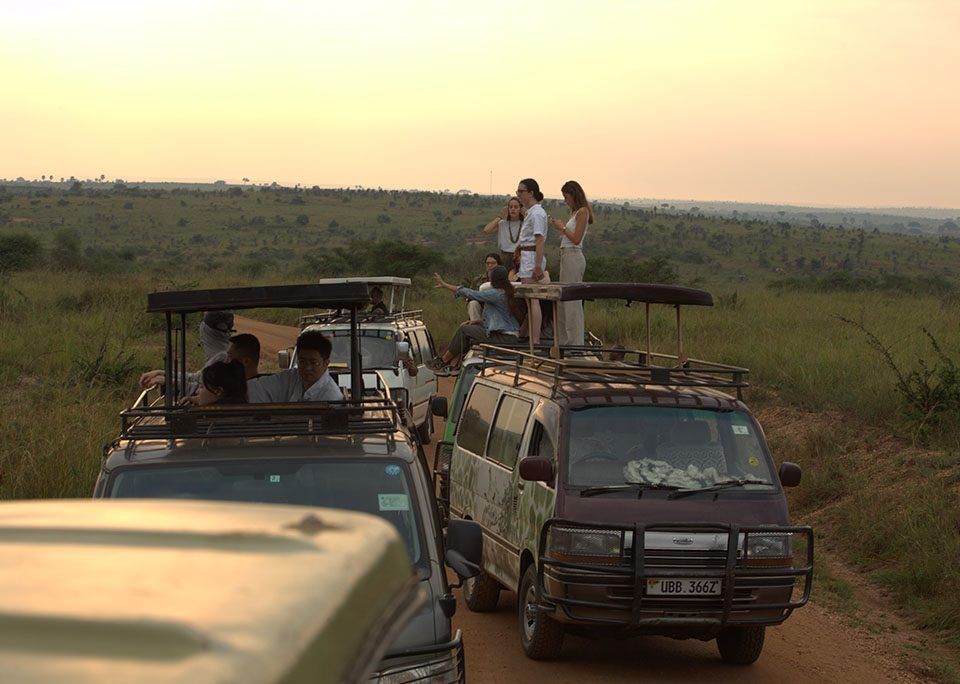 booking-a-uganda-safari-with-a-safari-company