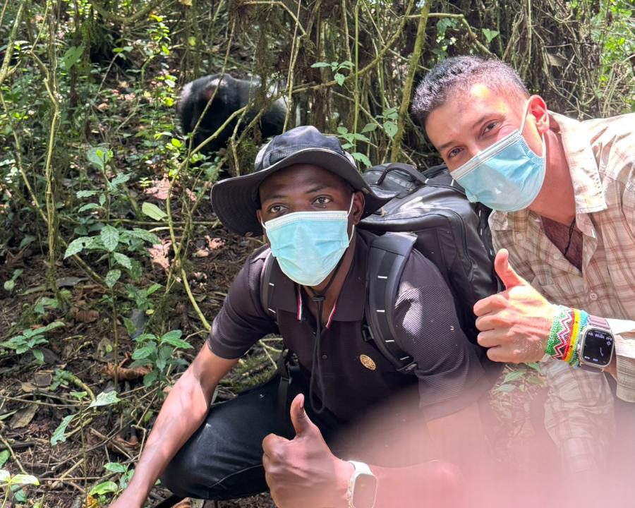 one-day-gorilla-trekking-in-uganda-from-rwanda