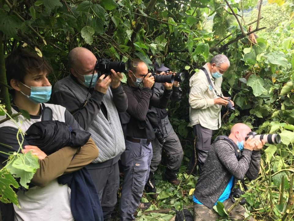 1-day-gorilla-trekking-uganda-from-kigali-or-kisoro-uganda