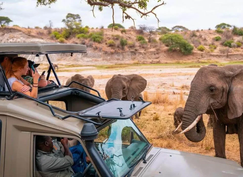 best-african-tours-safari-packages-2025-2026