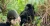 20-days-ultimate-uganda-safari