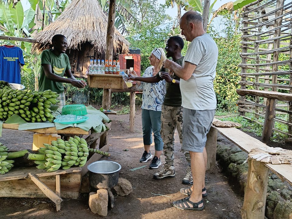 rest-in-banana-experience-in-bigodi-kibale-national-park