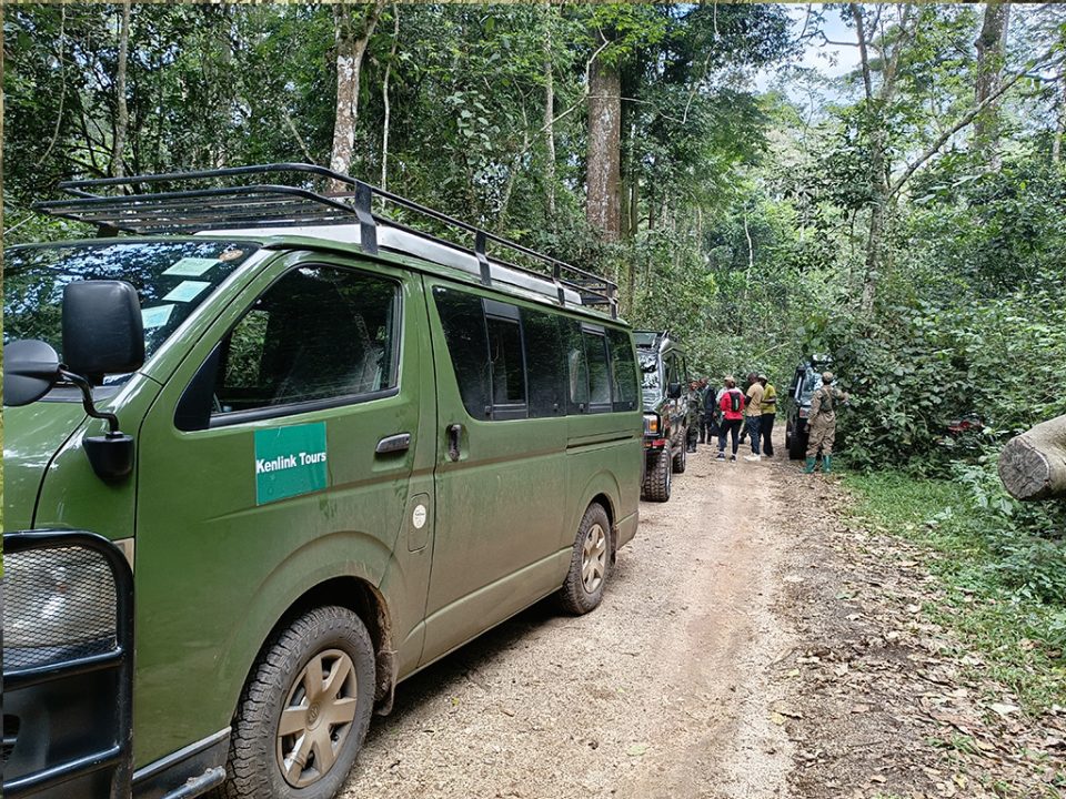 what-is-the-price-for-gorilla-trekking-safari-in-uganda