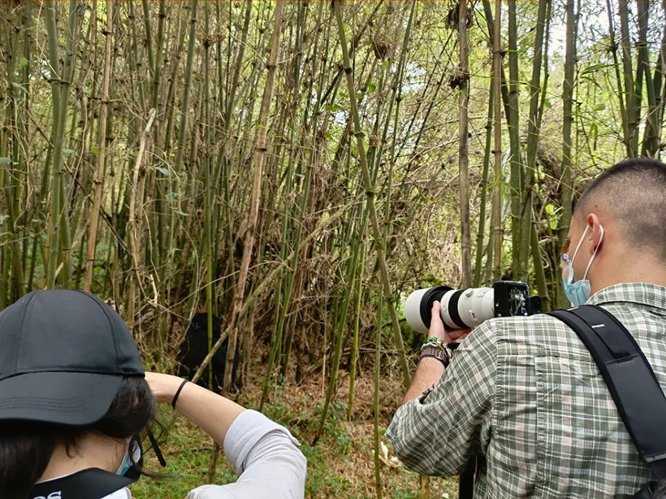 tracking-gorillas-in-uganda-from-kigali