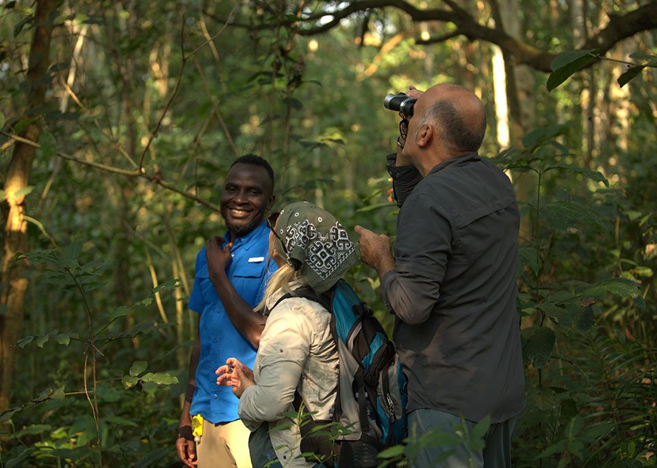 morning-vs-afternoon-chimp-trekking-in-kibale-which-is-better