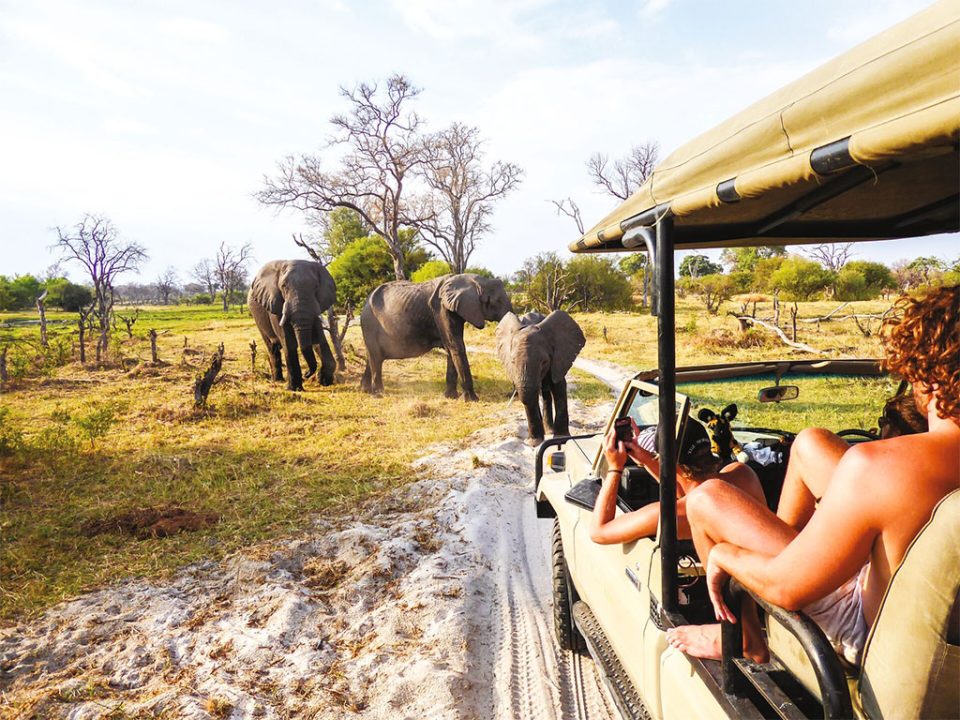 best-african-safaris-holidays-for-couples