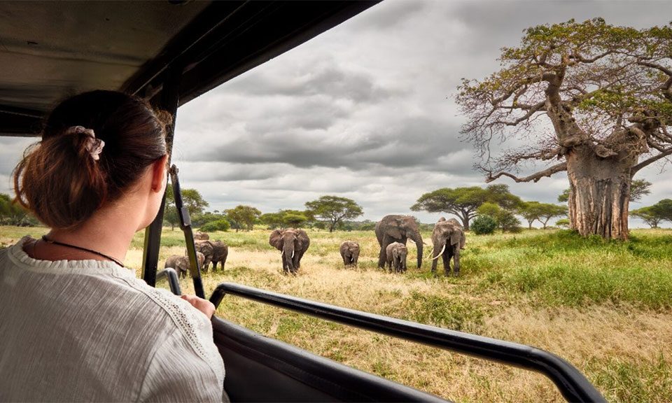 best-african-safaris-for-italians