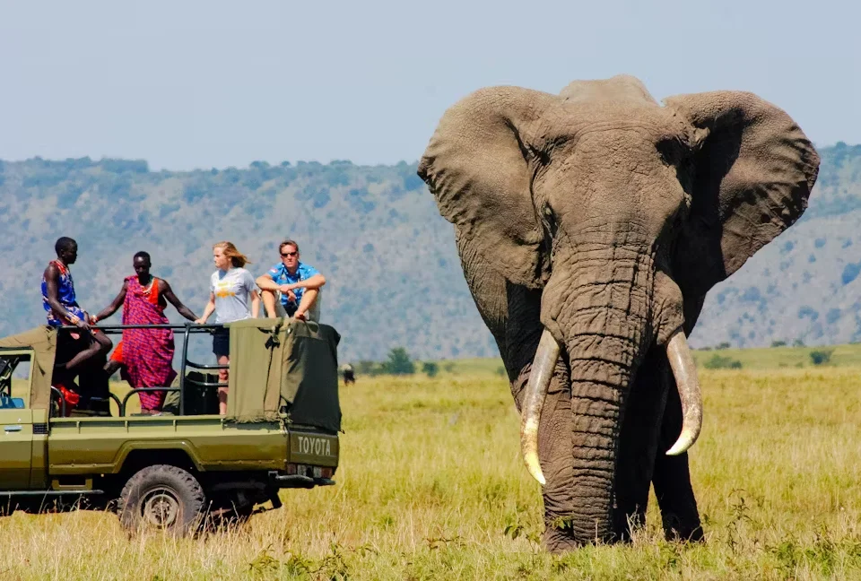kenya-tours-and-safaris