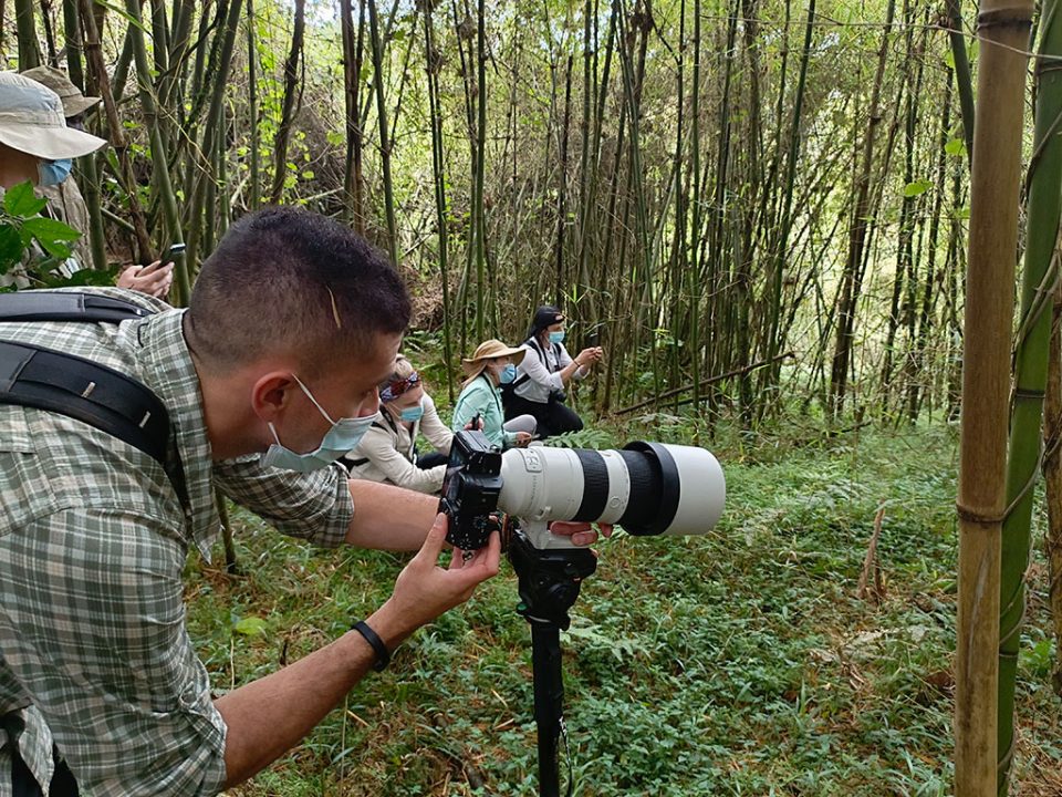 how-much-does-a-budget-gorilla-safari-cost-in-uganda