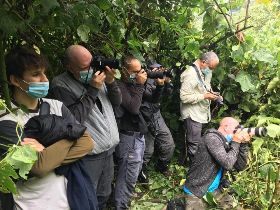how-much-does-a-combined-gorilla-and-chimpanzee-safari-cost-in-uganda