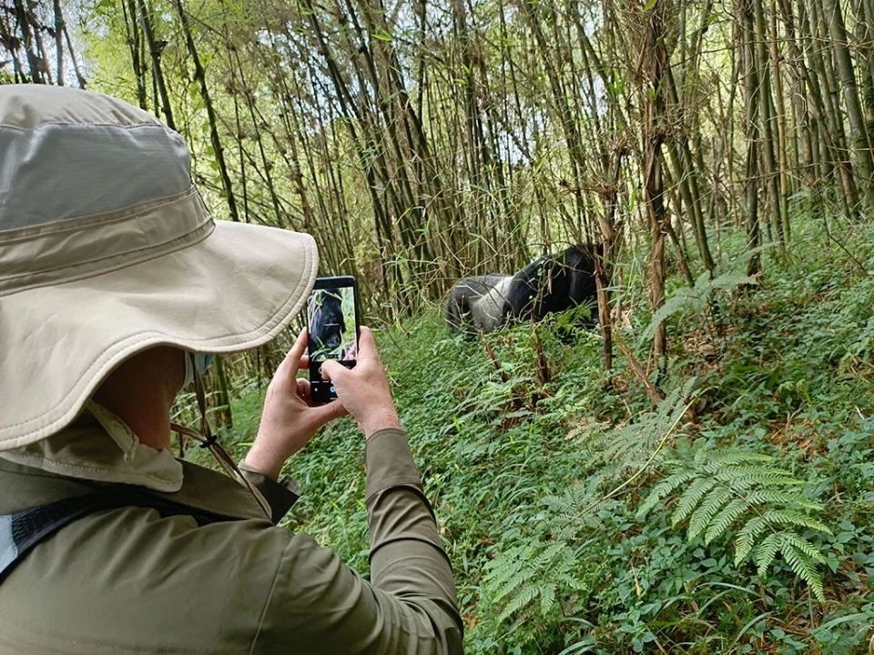 1-day-gorilla-trekking-safari-in-uganda