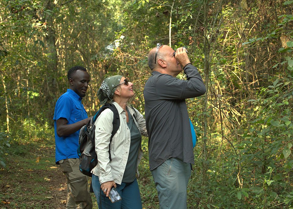 top-birdwatching-destinations-in-uganda-ultimate-guide-to-uganda-birding-safaris