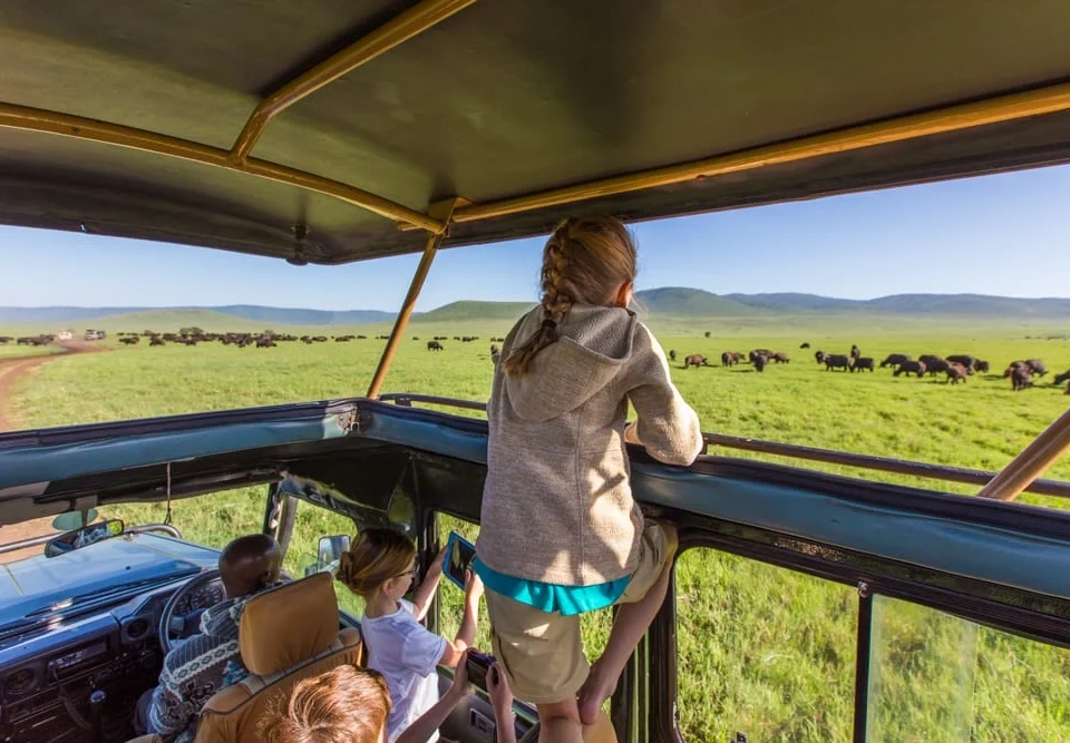best-time-to-visit-uganda-for-safaris-and-gorilla-trekking
