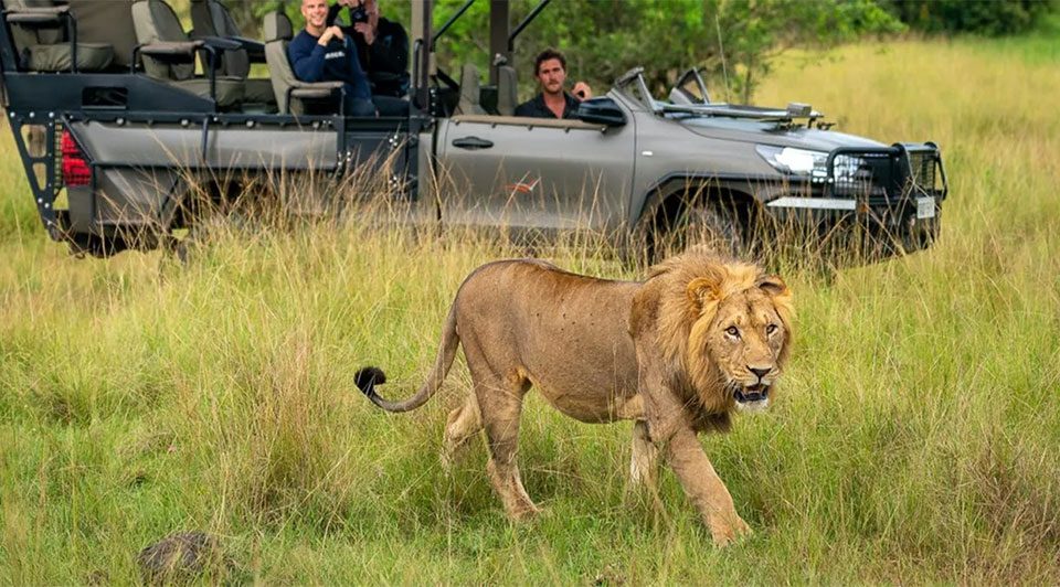 akagera-national-park-vs-queen-elizabeth-national-park