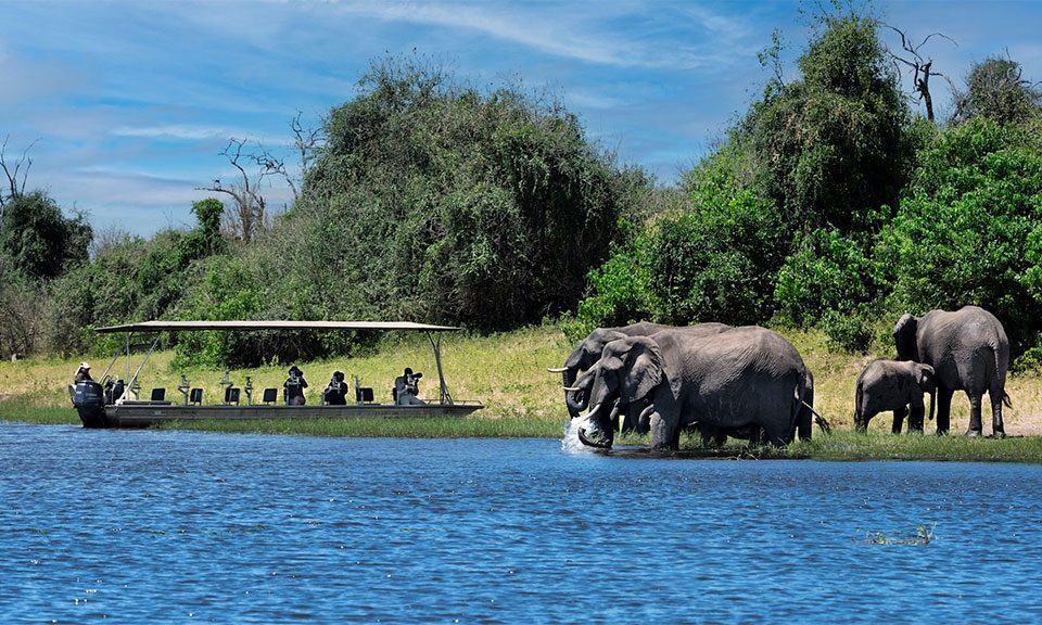 chobe-national-park