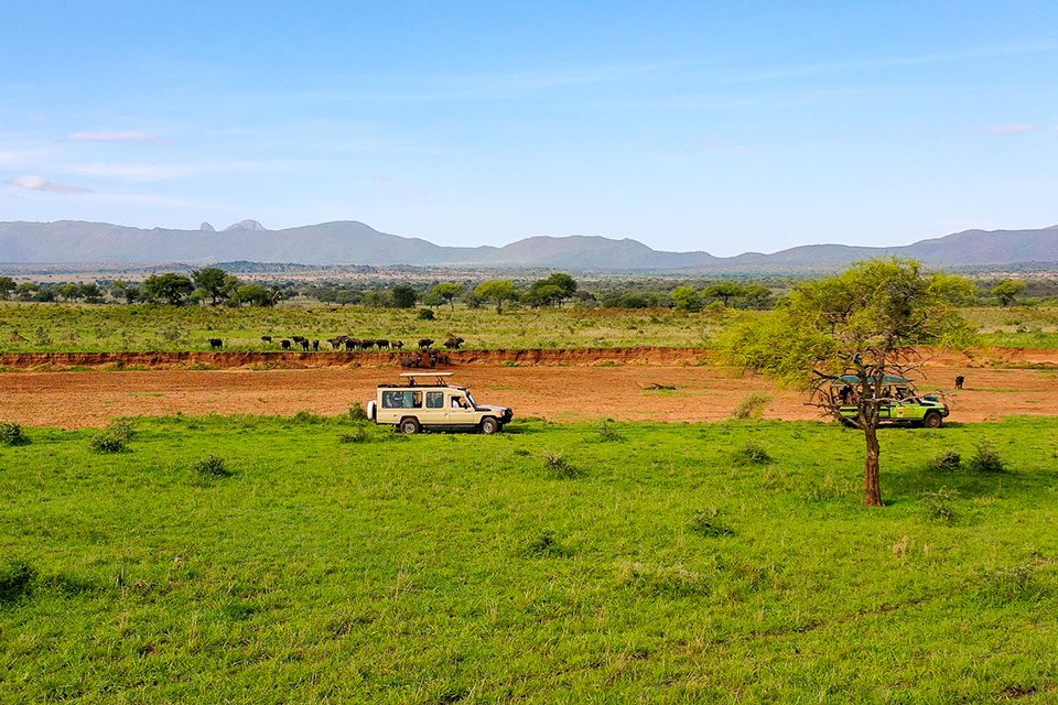 combining-kidepo-national-park-tour-with-sipi-falls