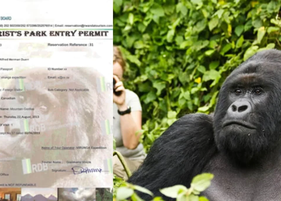 gorilla-trekking-permit-for-rwanda