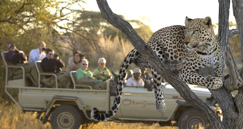 namibia-tours-and-safari-vacations
