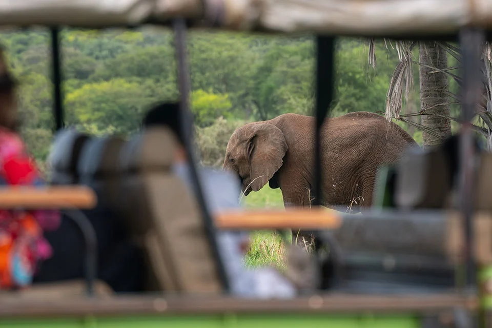 top-10-reasons-why-you-should-visit-uganda