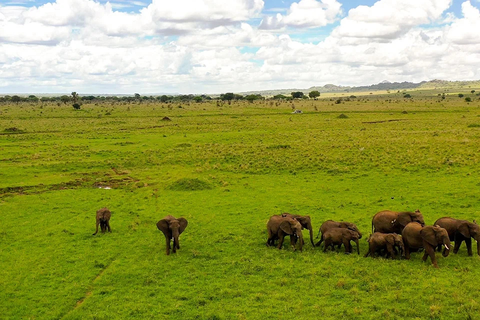 top-5-reasons-why-uganda-should-be-your-next-destination