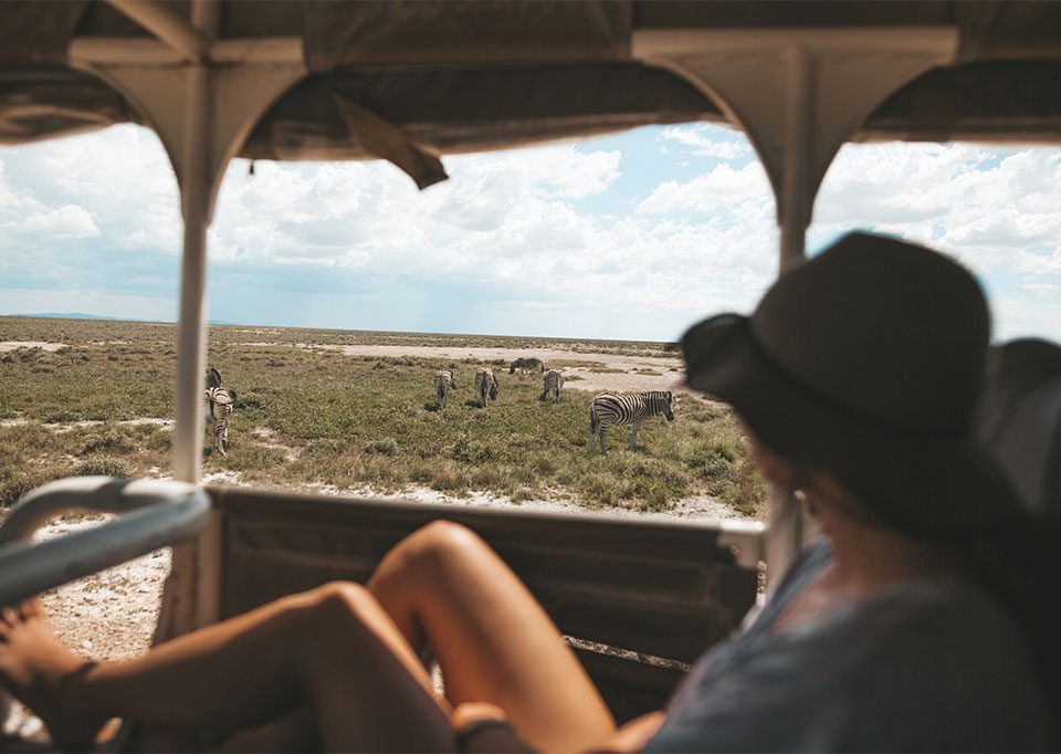 ultimate-guide-to-etosha-national-park-safaris