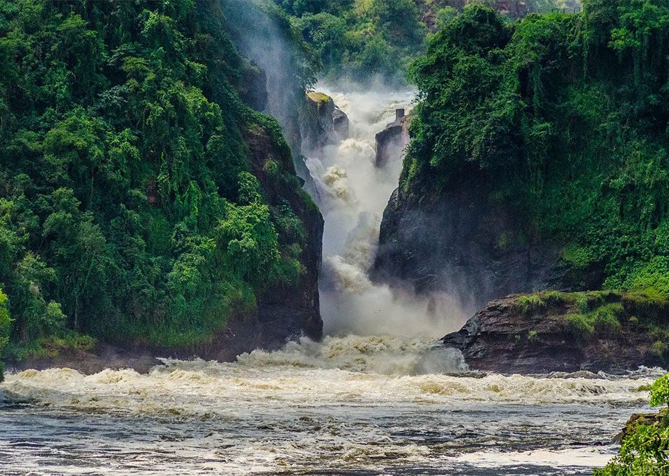 what-is-the-biggest-national-park-in-uganda