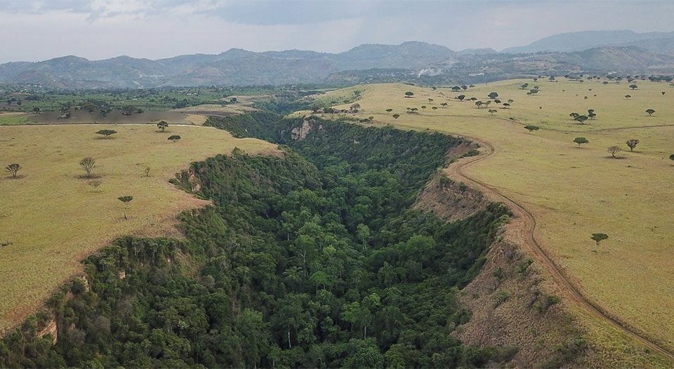 why-kyambura-gorge-chimp-trekking-is-not-popular