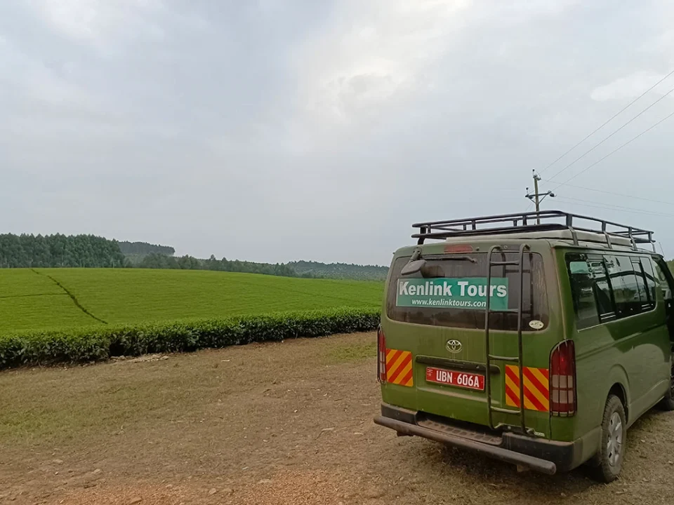 10-day-uganda-rwanda-safari