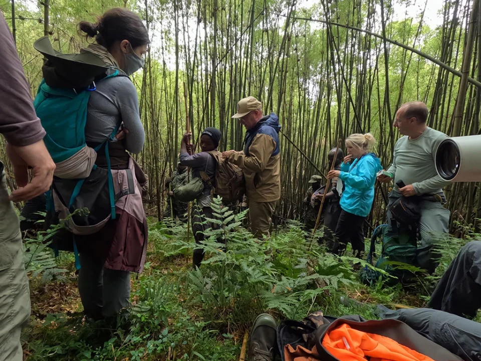 3-day-mgahinga-gorilla-trekking-safari
