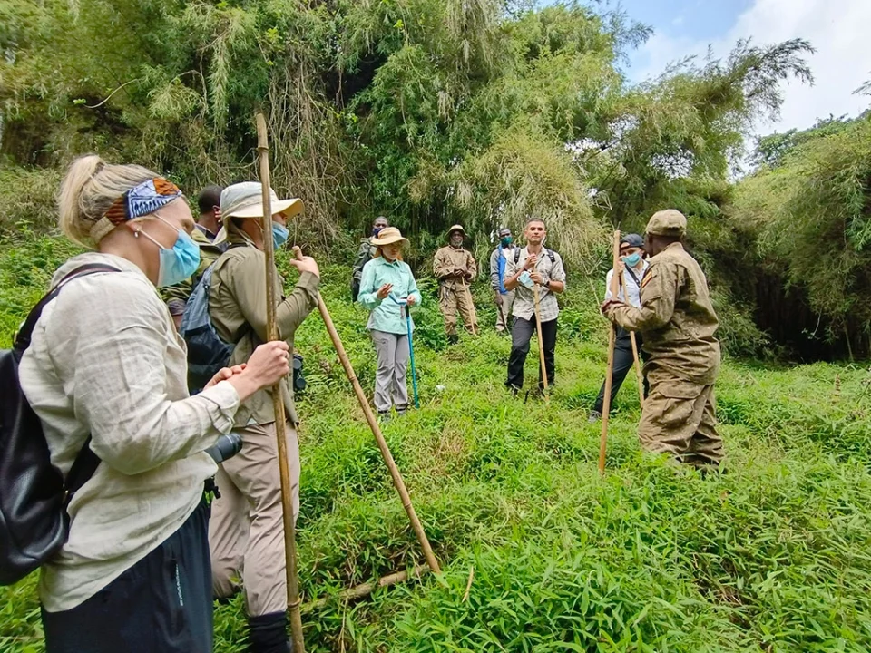 6-day-uganda-big-five-chimps-and-double-gorilla-tracking-tour