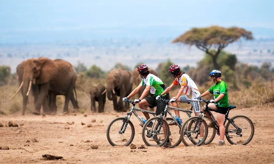 3-day-gorilla-trekking-and-mountain-biking-at-lake-kivu