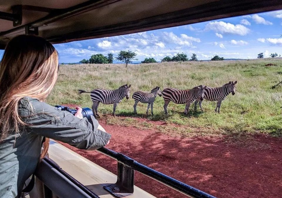 what-to-see-in-akagera-national-park